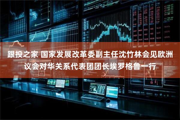 跟投之家 国家发展改革委副主任沈竹林会见欧洲议会对华关系代表团团长埃罗格鲁一行